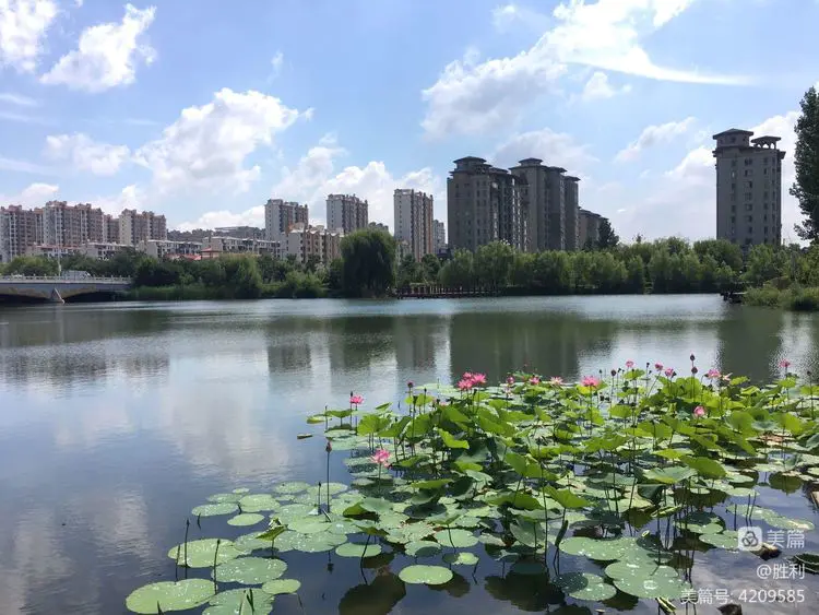 【明心文学】游民杂感（组诗）作者/醉清風 主播/花之语（图3）