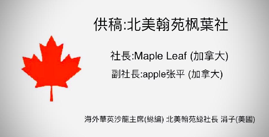《茅坪行歌》(组诗) 作者: 郭秋梅 朗诵: 枫波 海外華英刊（图3）