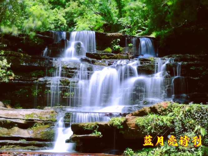 【都市头条】签约诗人余庆萍：微型诗一组／蓝月亮诗刊（图4）