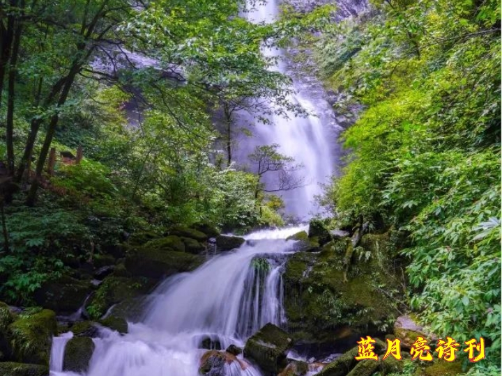 【都市头条】签约诗人余庆萍：微型诗一组／蓝月亮诗刊（图3）