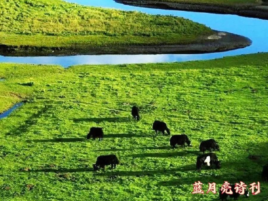 【都市头条】签约诗人余庆萍：微型诗一组／蓝月亮诗刊