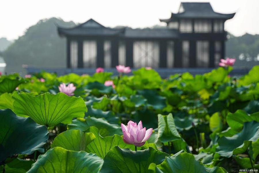 《0543-古韵诗絮》(图9)
