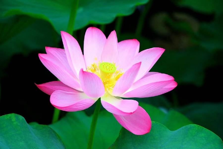《0543-古韵诗絮》(图13)