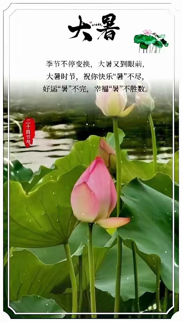 【大暑专刊】【九江文学社:北京头条】《群合集》(图2)