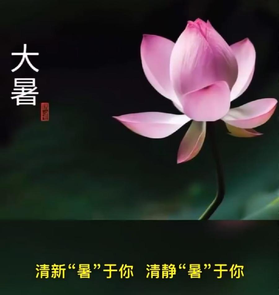【大暑专刊】【九江文学社:北京头条】《群合集》(图8)