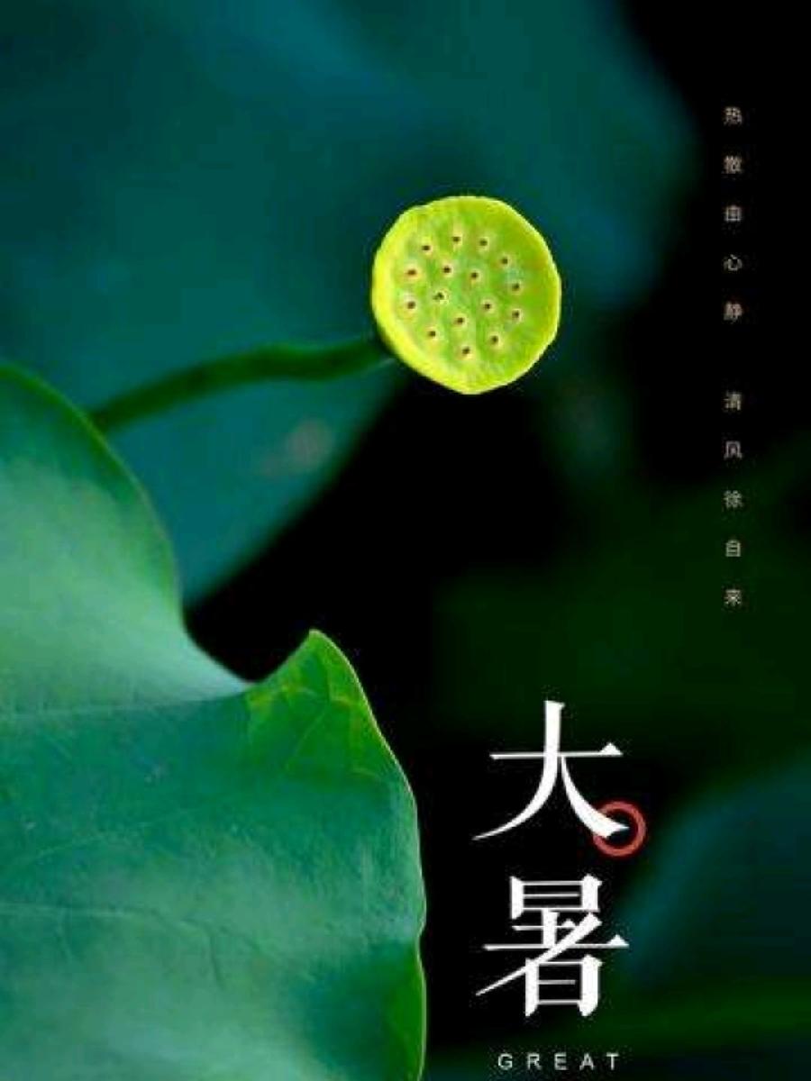 【大暑专刊】【九江文学社:北京头条】《群合集》(图34)