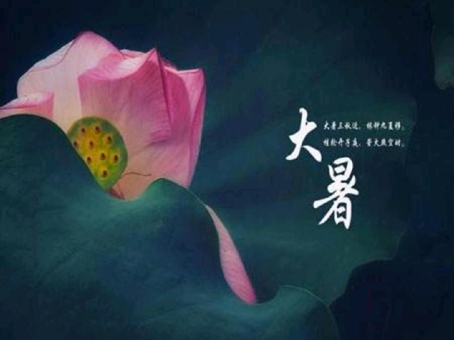 【大暑专刊】【九江文学社:北京头条】《群合集》(图35)