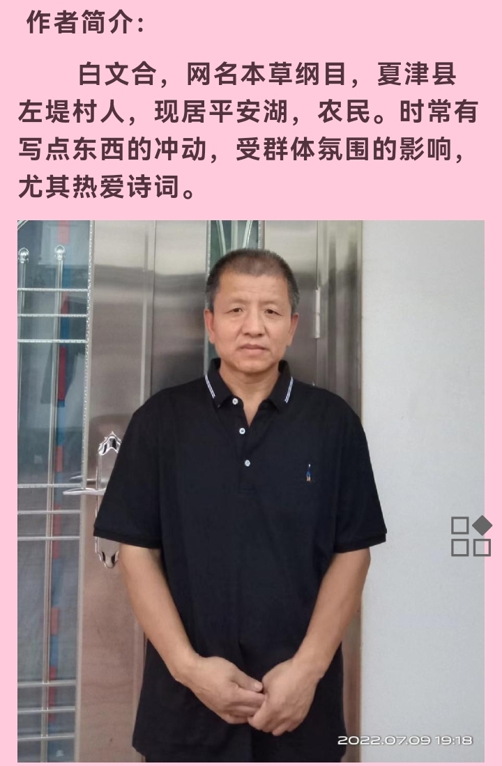 《故道文化•副刊》第二五一期：白文合诗歌（图4）
