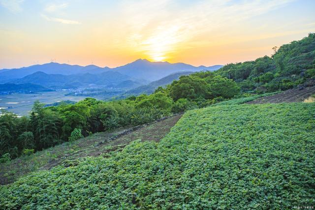 《故道文化•副刊》第二五二期：刘昭元诗歌