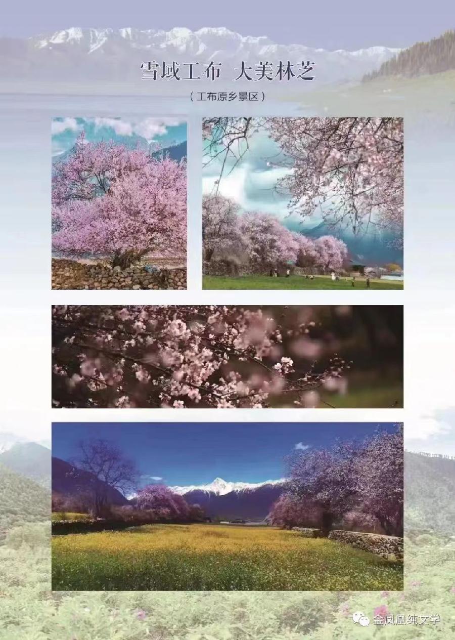 雪瑞彬在国家级刊物《大家》文学杂志ll2022年第一期发表诗歌（图7）