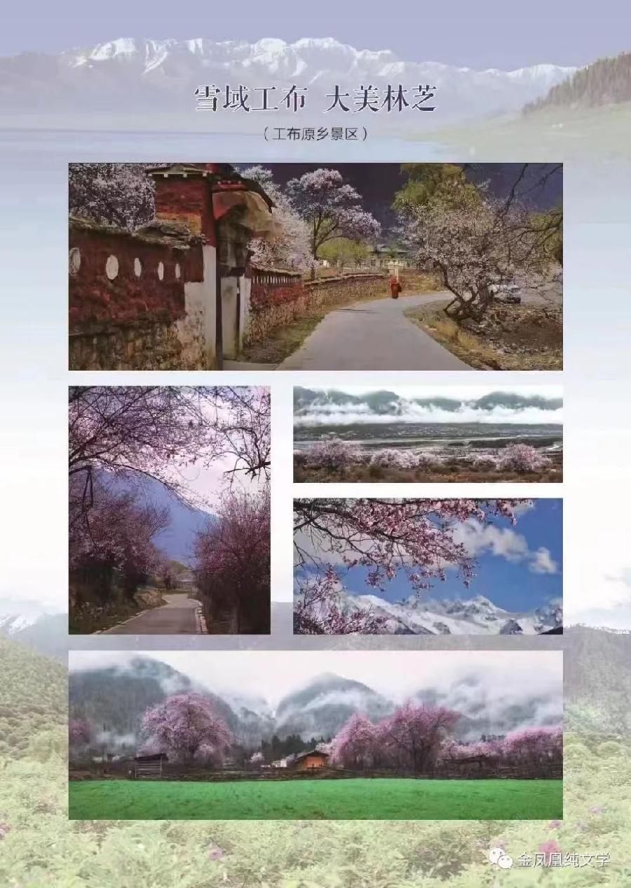 雪瑞彬在国家级刊物《大家》文学杂志ll2022年第一期发表诗歌（图6）
