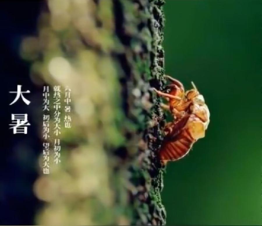 【大暑专刊】【九江文学社:北京头条】《群合集》(图15)