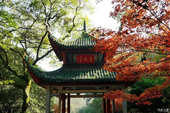 施伟远诗歌《鹤城六大公园记》主播：小菜一碟黑骏马 编辑：小鱼儿 【北疆头条】（第254期）（图3）