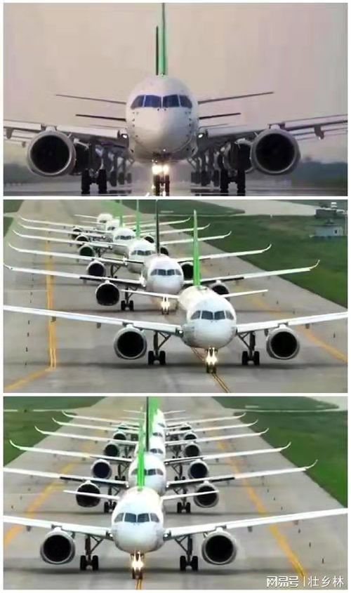 天仙子-C919完成试飞取证进入冲刺* 文/冯志清（上海）【冰心文化传媒】主编冰心（甘肃）（图11）