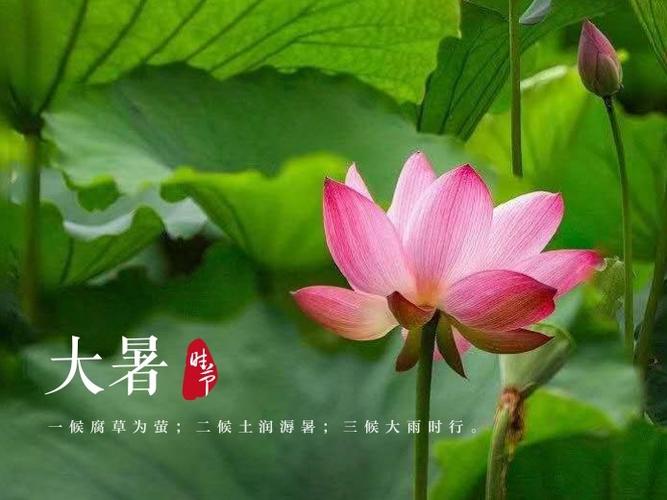 【北美翰苑分享社·格律诗词精品鉴赏】第四十二期(周刊)(图27)