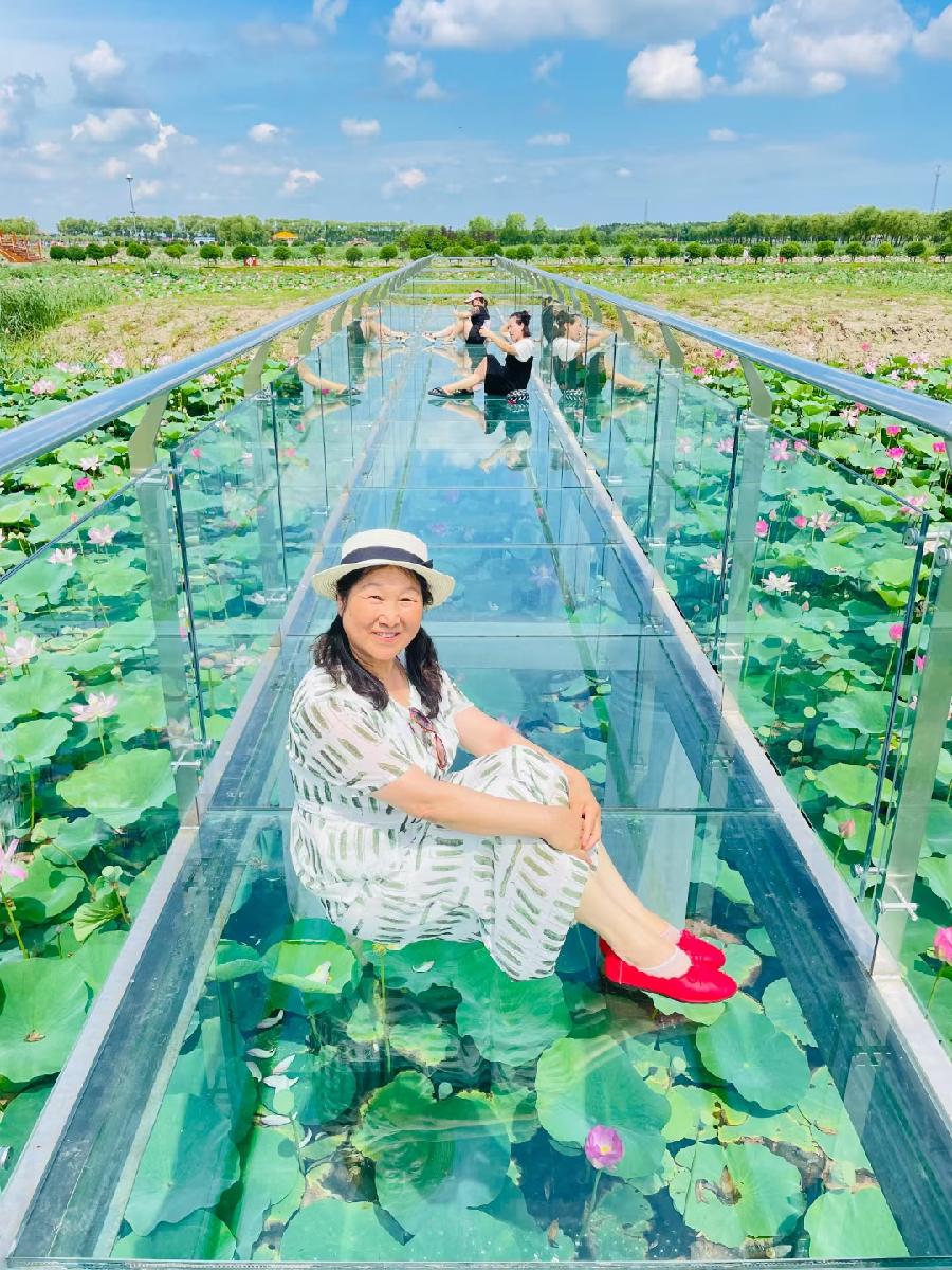 杨淑芬:肇源赏菏(图6)