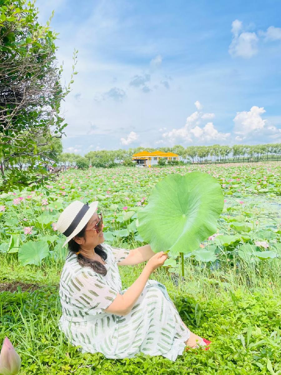 杨淑芬:肇源赏菏(图7)