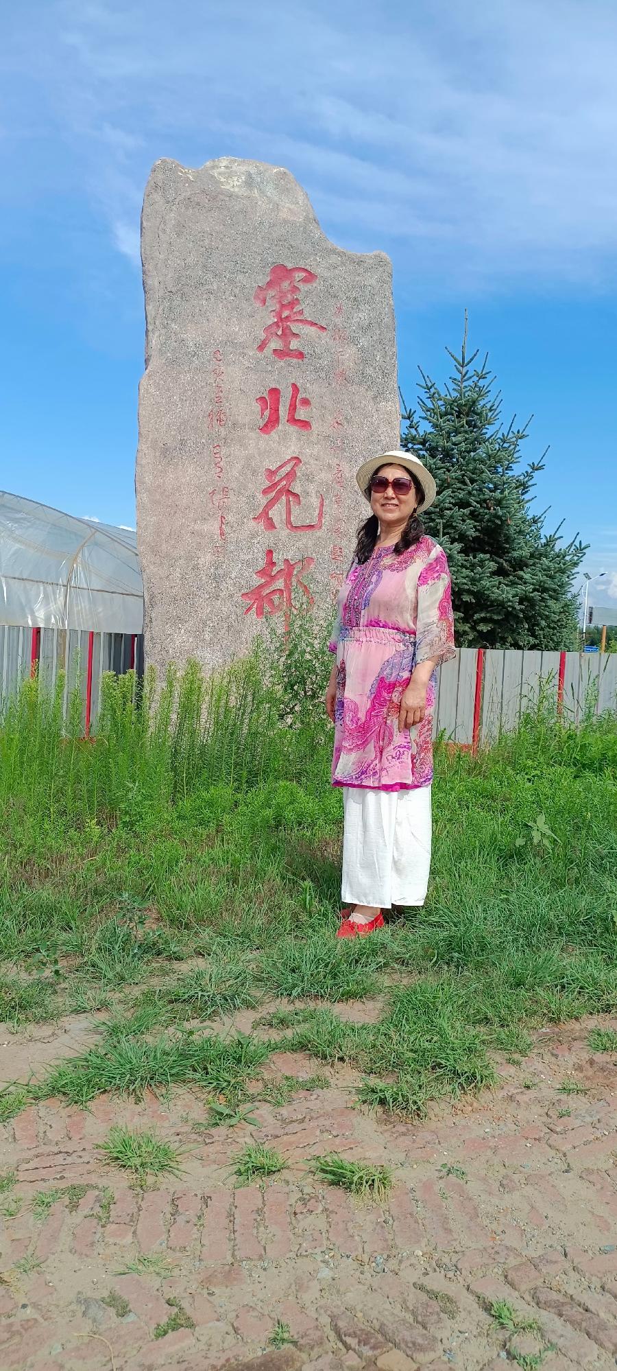 杨淑芬:肇源赏菏(图10)