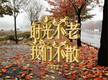 田向洪老师哲理语录(图7)