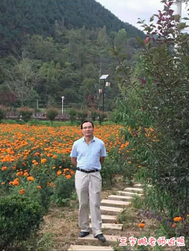 《穿越梦想工作室》隆重推出著名作家文学评论:生命的绝唱一一阅《主角》品人生 ‖ 王宇鹏(图10)