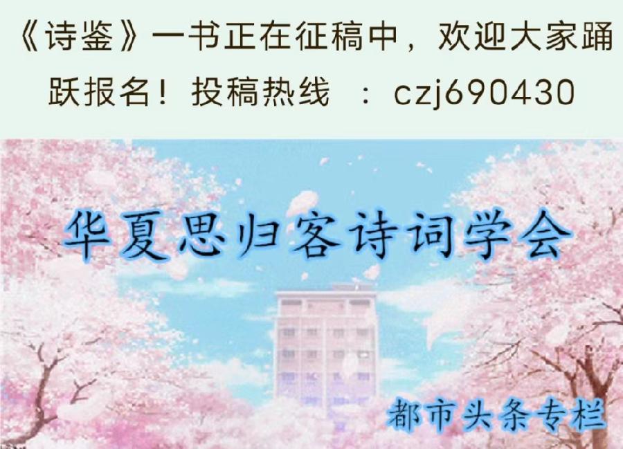 小草／潘朝铎—《狗》小小说—(华夏思归客诗鉴征稿)—原创精选—都市头条