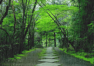 《听雨》实力派诗人/丁心雨、主播/凤珠。中国文学黄金诗院有声之家。（图3）