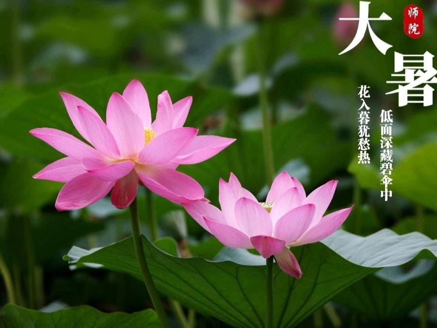 【名家名篇】【九江文学社：北京头条】杨成贵将军笺言精选（图13）