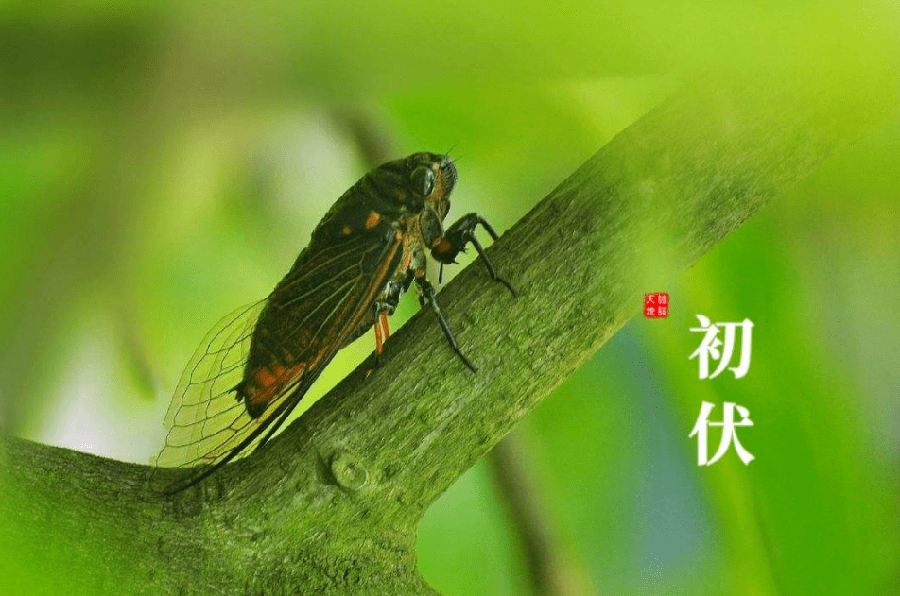 金利先诗五首、主播/大平。中国文学黄金诗院有声之家。（图5）