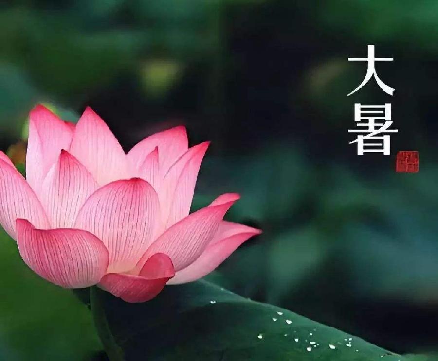 推荐 | 许日辉七绝《壬寅大暑节气吟怀》十二首(图3)