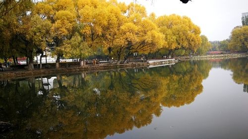 【经典推荐】任学萍//七绝•飞花令｛盛夏系列作品展｝二十八首（图8）