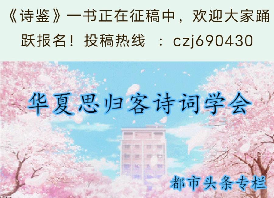 烟雨看松\边振刚—《荷怨》—(华夏思归客诗鉴征稿)—原创诗歌—都市头条
