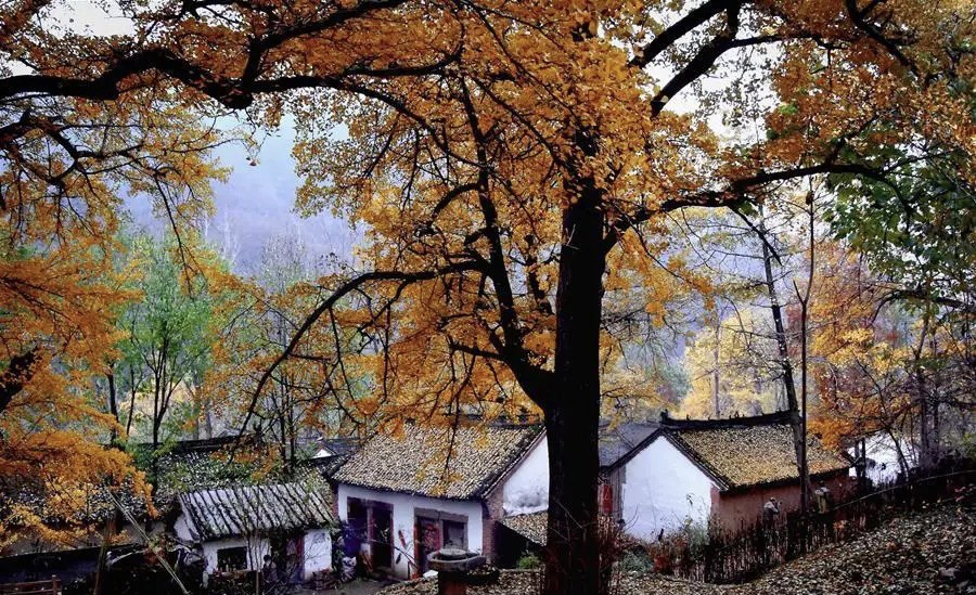 红梅诗歌文化传媒||李占怀作品欣赏（图4）