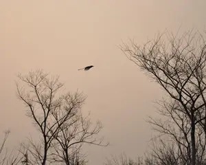 红梅诗歌文化传媒||李占怀作品欣赏（图5）