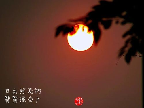 【经典推荐】昨夜天//撑一把青花伞，游离在你的诗行（图5）
