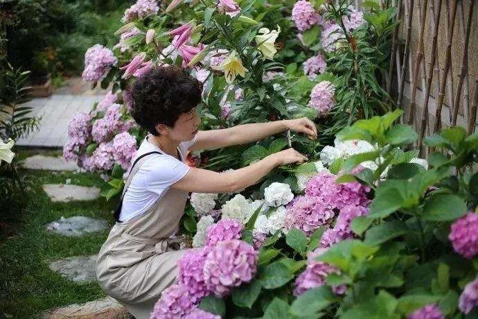 外乡人看谯城(外一首)文/田源(安徽)【冰心文化传媒】主编冰心(图4)