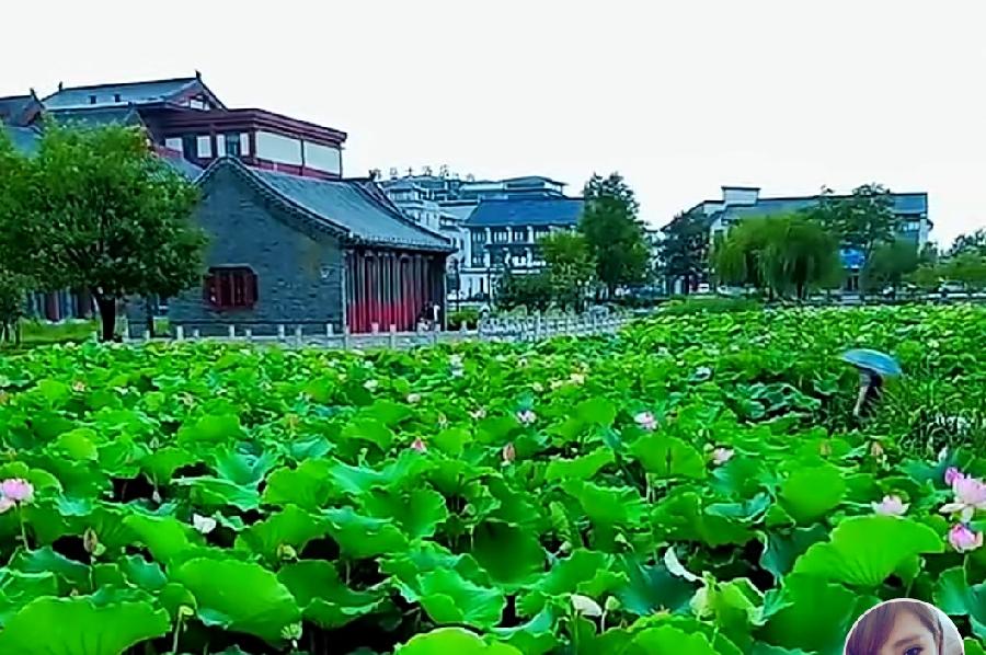 【华夏好诗词】分享(独狼)魏国清《渔父詞 十五首》请欣赏(图5)
