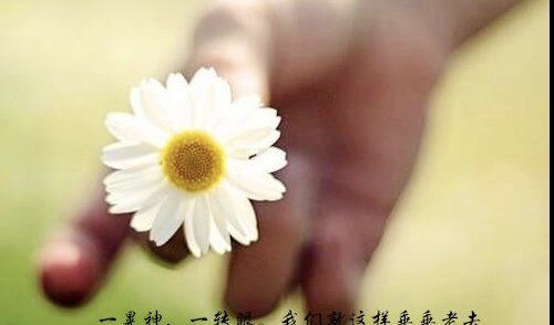 《🇨🇳中国人民诗刊》《中国人民诗社》(第2114期)百花齐放:姹紫嫣红(图3)