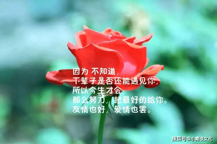 《丢 了》作词：安桂英〔河北唐山〕〖冰心文化传媒〗主编冰心（图6）