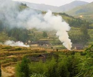 路过夏天(外七首)文/红叶〔甘肃庆阳〕〖冰心文化传媒〗主编冰心(图8)