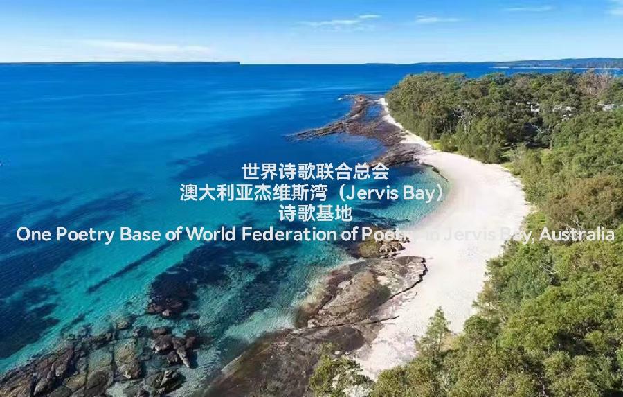 《诗恋白沙滩》文:暖心【长安街总社】世界诗人名人展(8870)(图8)