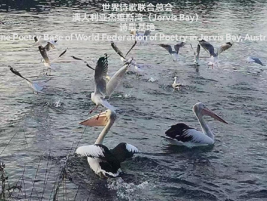 《诗恋白沙滩》文:暖心【长安街总社】世界诗人名人展(8870)(图10)