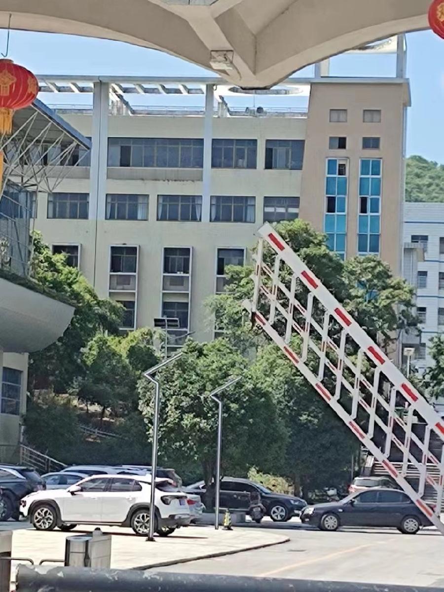 【当代文艺】《纪念母校八十华诞》作者:吕晓蓉(图4)