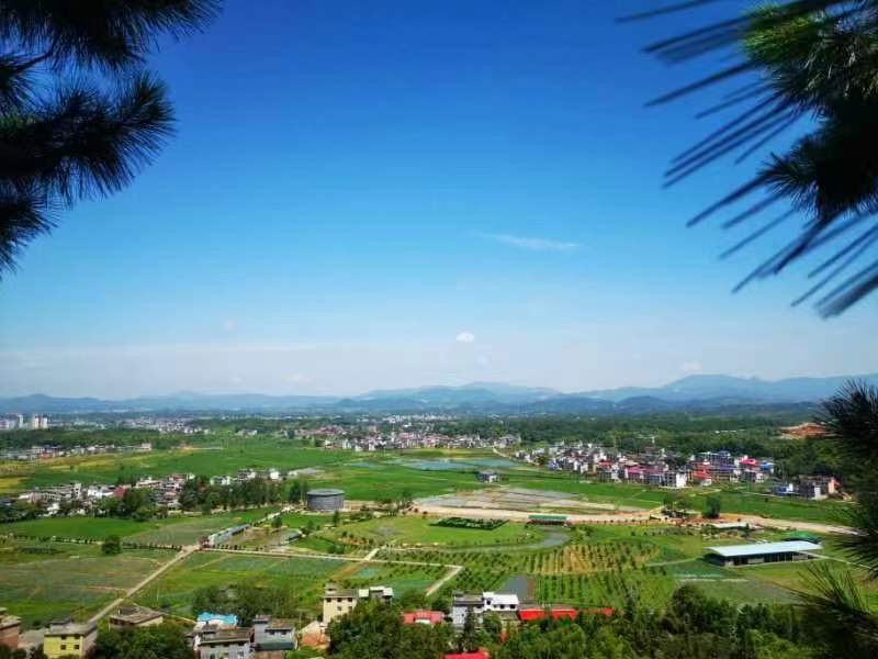 黄树和：巨溪河（图2）