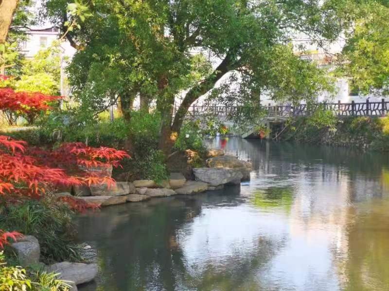 黄树和：巨溪河（图7）