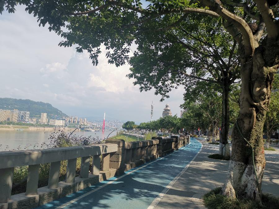 诗意传情诗社【乡愁】文‖兰光武 诵‖李华敏（941）（图9）