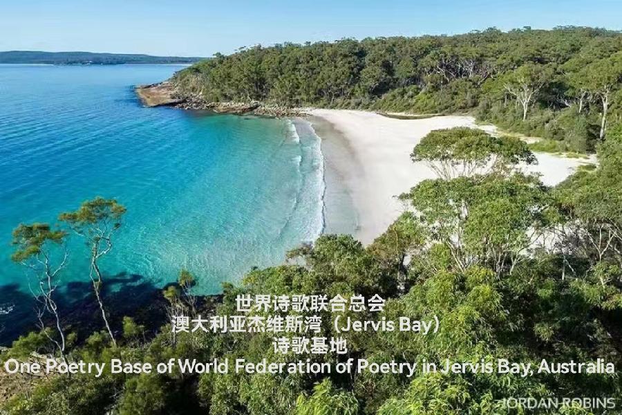 《让诗意在笔端生花》文:张蔓燕/中国广西【世界诗人名人展】(8874)(图6)