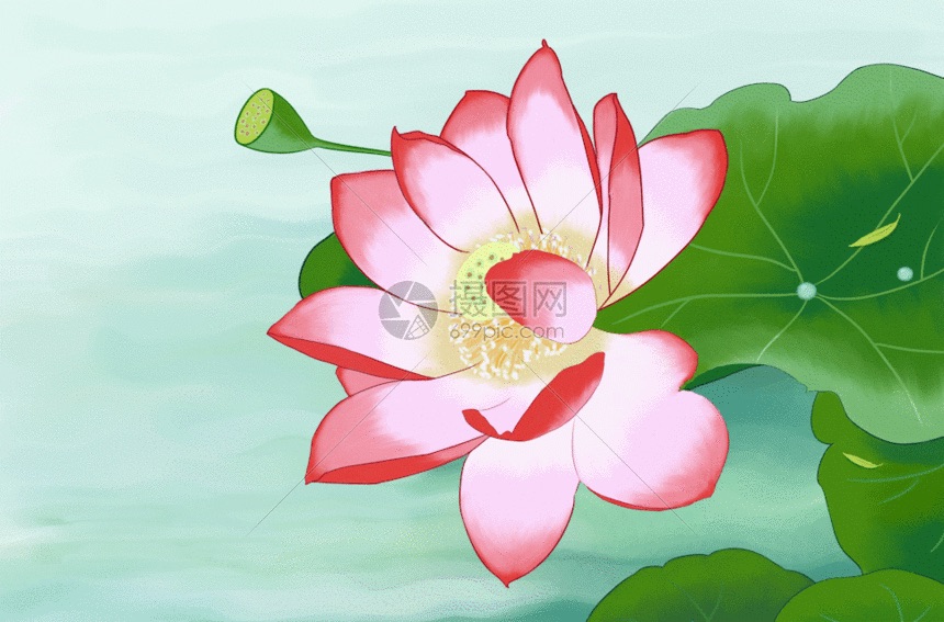 【英国文学】精品朗诵《夏荷灼灼诗韵怡》(组诗)作者|落红留丹、朗诵|一泓清泉(图12)