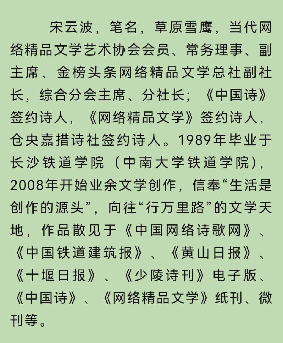 【齐鲁风】推介宋云波《高原雨回眸》请欣赏(图12)