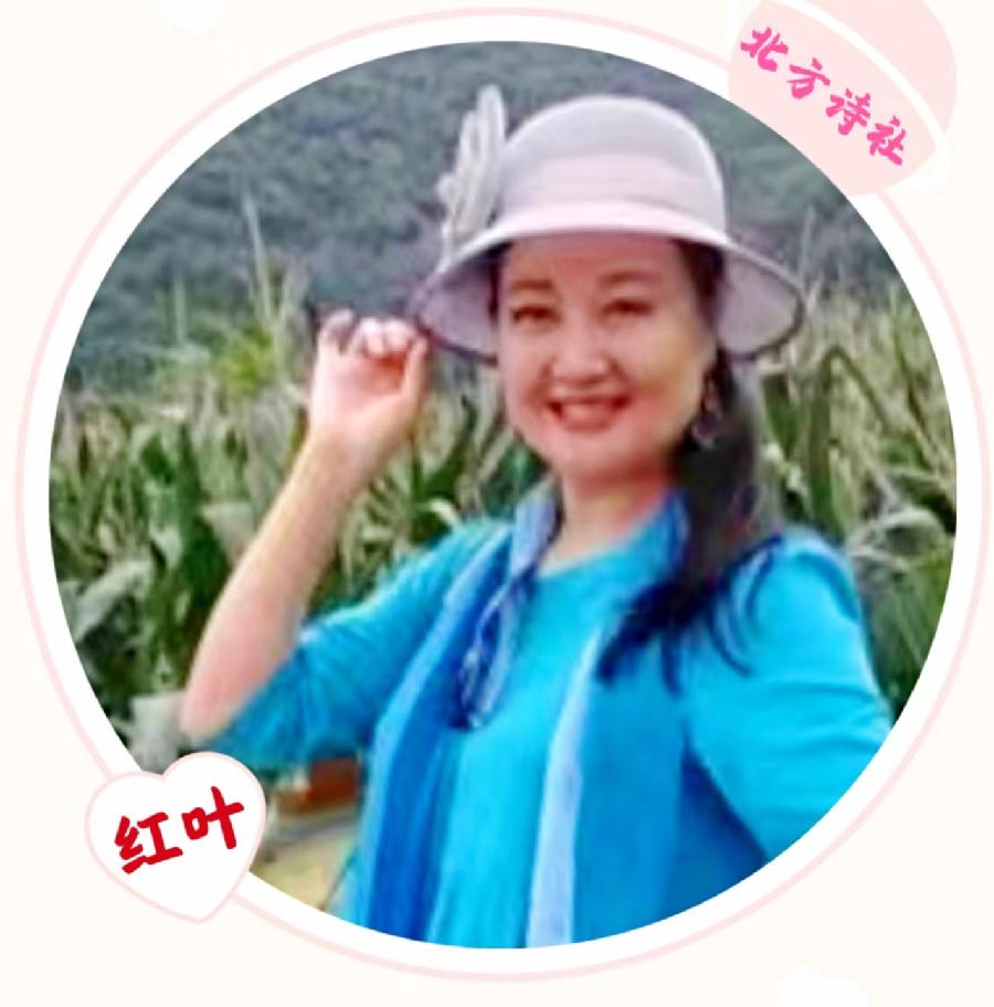 【北方诗社】隆重推介 裴龙兵《七律•观荷悟道》主播/红叶*编辑 上元&总第1459期(图9)