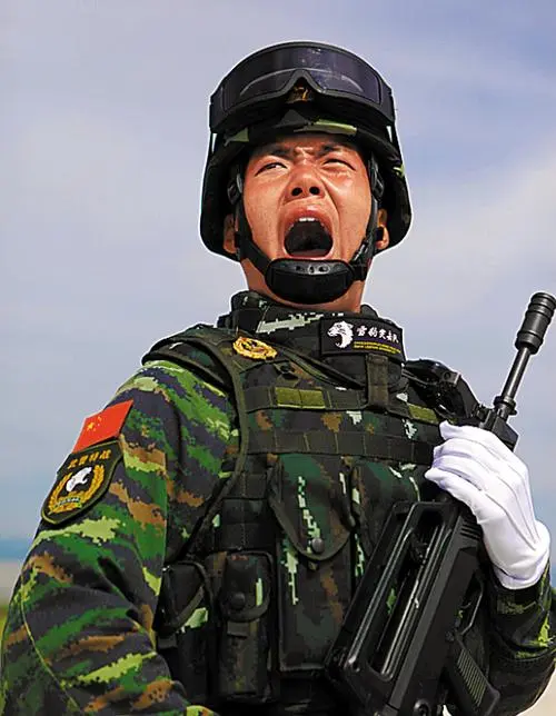 纪念“八一'建军节‖文图/赵京氵，书法/太行山人武功（图13）